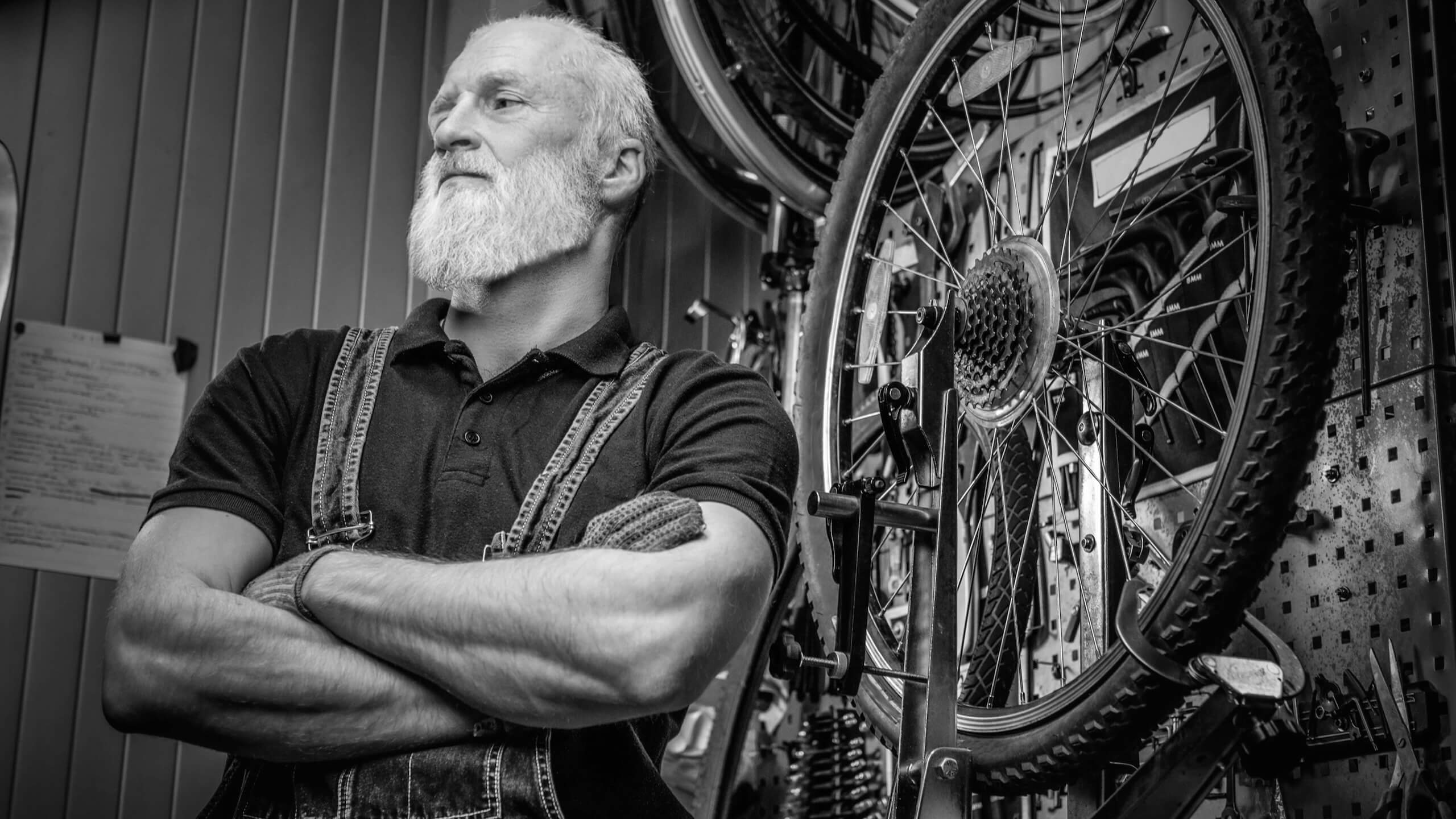 Tu perfil y bio evolucionan